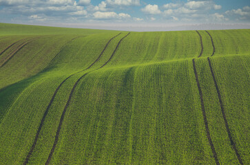 hügeliges Feld mit Saatspuren im Frühling