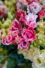 Colorful bouquet of flowers ustoma lisianthus or prairie gentian, growing in Dutch greenhouse, flora of the Netherlands