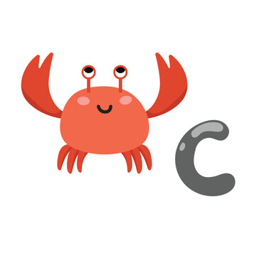 Concept Alphabet C crab. This illustration is a flat, vector cartoon design featuring the letter C of the alphabet. Vector illustration.
