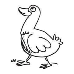 duck Hand drawn vector illustration. 