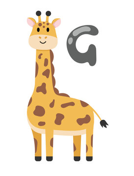 Concept Alphabet G giraffe. This illustration is a flat vector cartoon design of the letter G in the alphabet. The letter is formed by a giraffe with a long neck and spots. Vector illustration.