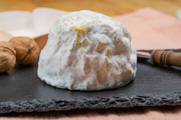 Cheese collection, soft cow French cheese with mold Gaperon artisanal lavored with cracked peppercorns and garlic produced in Auvergne