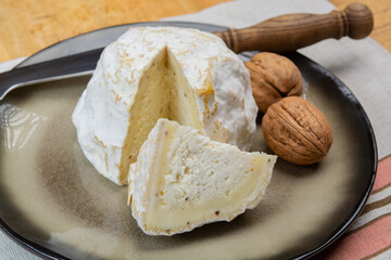 Cheese collection, soft cow French cheese with mold Gaperon artisanal lavored with cracked peppercorns and garlic produced in Auvergne