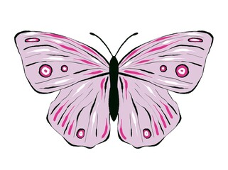 Set of pink Buterfly, isolated on white background