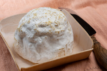 Cheese collection, soft cow French cheese with mold Gaperon artisanal lavored with cracked peppercorns and garlic produced in Auvergne