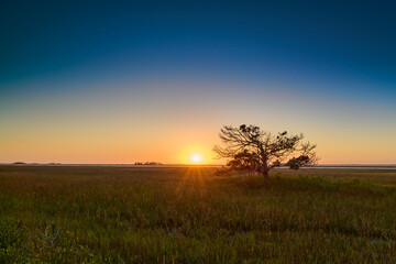 Sunset over marsh grass near hunting island state park in south carolina.