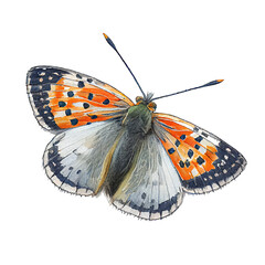 Pepper and salt skipper buterfly. Watercolor with transparent background. Generative AI