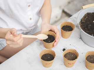 Caucasian teenage girl picks up soil from a zinc bucket for a cardboard cup with a wooden spoon