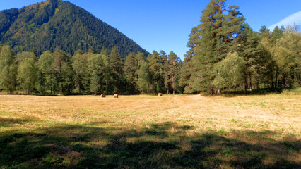 Obraz premium mountain landscape, shot of Arkhyz mountains at fall with blue sky - photo of nature