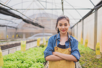 A confidence and proud young and smart Asian female owner or entrepreneur of vegetable organic farm or greenhouse. Concept of successful organic agriculture. Salad or lettuce harvest. Small business.
