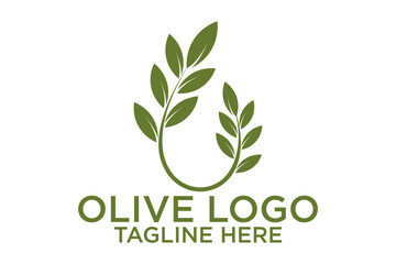 icon olive oil branch logo design