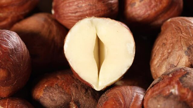 Hazelnuts in slow motion traveling macro