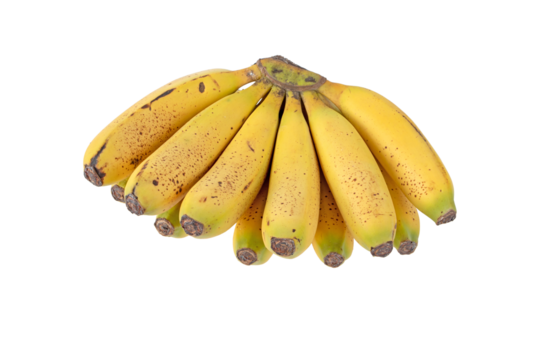 Bunch of ripe banana fruits with sugar spots isolated transparent png. Cavendish variety of Musa acuminata.