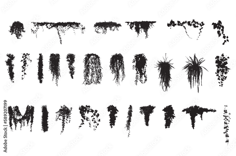 Poster silhouette vines tropical plant drawing, side view, set of graphics trees elements outline symbol fo