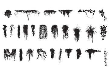 silhouette vines tropical plant drawing, Side view, set of graphics trees elements outline symbol for architecture and landscape design drawing. Vector illustration in stroke © feipco