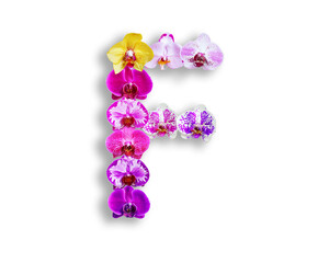 F shape made of various kinds of orchid flowers
