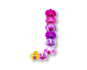 J shape made of various kinds of orchid flowers
