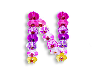 N shape made of various kinds of orchid flowers