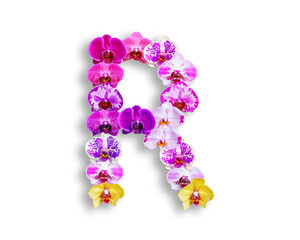 R shape made of various kinds of orchid flowers