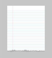 Torn pages of notebook paper lined