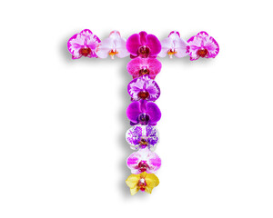 Fototapeta na wymiar T shape made of various kinds of orchid flowers