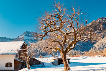 Winter view near Bischofswiesen, Berchtesgaden, Bavaria, Germany