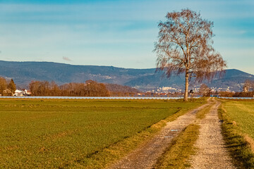 Naklejka premium Winter landscape on a sunny day at Michaelsbuch, Bavaria, Germany