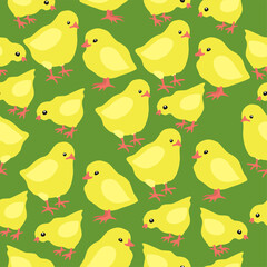 Vector seamless pattern with yellow chicks on green grass. Happy Easter. Soft spring print.
