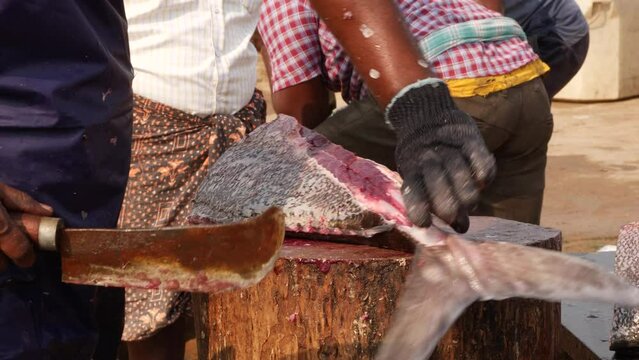 A man using a sharp cutlass to cut the tail of a very big fish