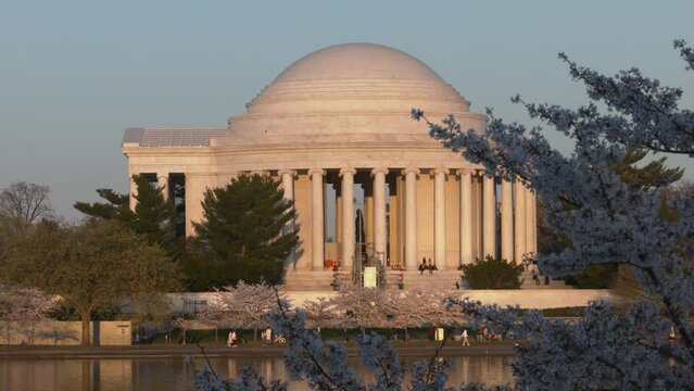 Cherry blossom festival at the Thomas Jefferson Memorial at sunset, Washington, DC