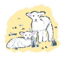 Hand drawn illustration of cute white lamb sheep in spring. Easter concept, farm animal print for kids children nurserry decor, pastel drawing in yellow background.