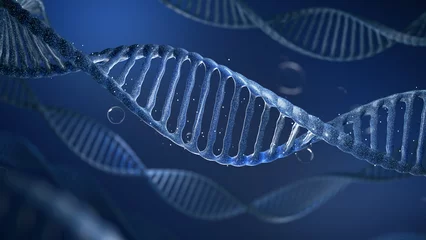 Deurstickers DNA with bubble on dark blue background metaphor biotechnology, stem cell and human longevity. 3D rendering © piyaset