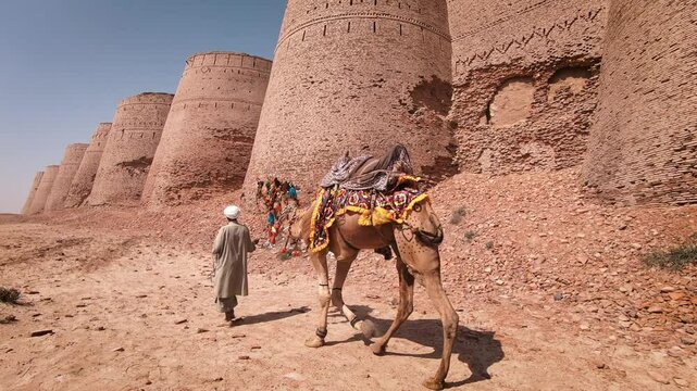 An old man with camel at derawar fort cholistan.