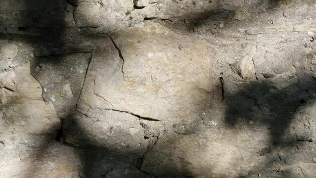 abstract background of stone wall with shadow, closeup of photo