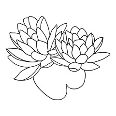 Naklejka premium Hand drawn of lotus on white background. Flower outline style. Vintage vector illustration.
