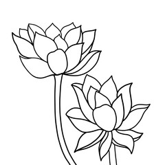 Hand drawn of lotus on white background. Flower outline style. Vintage vector illustration.