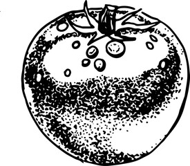 Hand Drawn Tomato. Sketched Illustration