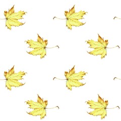 Fototapeta premium Seamless pattern from autumn yellow maple leaves, hand drawn marker illustration isolated on white