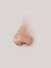 close up of a  nose
