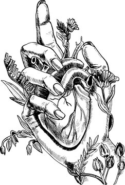 Hand Drawn Hand Holding Heart. Sketched Illustration