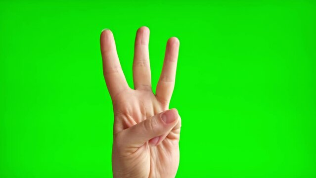 Female palm-side hand counting to three on a Chroma Key Background. Close up. Woman Gesturing Count Isolated on Green Screen. 4K Footage. Numbers calculating. Hand counting from 1 to 3 with fingers