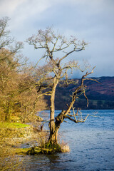 Naklejka premium Ullswater, Cumbria, England