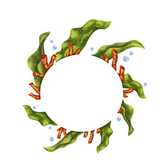 Fototapeta premium A bright composition with a circular underwater world. Red corals and seaweed. For printing, stickers, posters, postcards, prints, souvenirs. Digital illustration on a white background