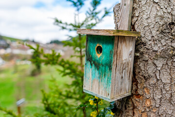 A wooden bird house mounted on a tree in the garden