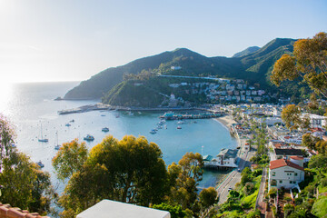 view of the bay at Catalina Island