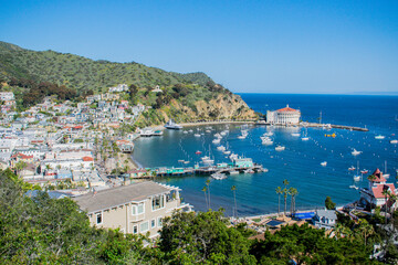 Fototapeta na wymiar view of the city of the sea in Catalina Island