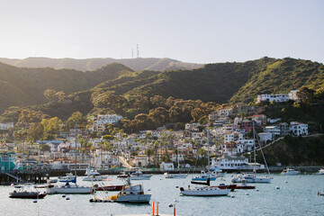 boats in the harbor in Catalina Island