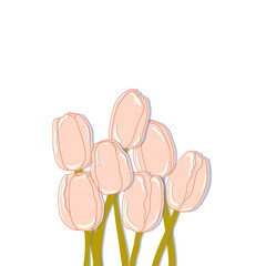 Abstract floral illustration with pink tulips on transparent background.