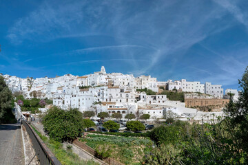 Obraz premium Panoramic view of Vejer de la Frontera, a nice white village in the province of Cadiz, in Andalusia, Spain