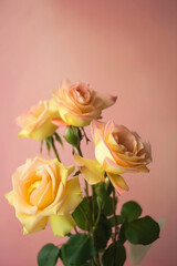 bouquet of yellow roses on pink background